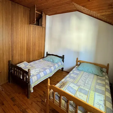 Tara Isidora Bajina Basta