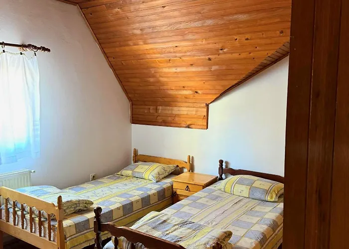 Tara Isidora 바이나 바슈타