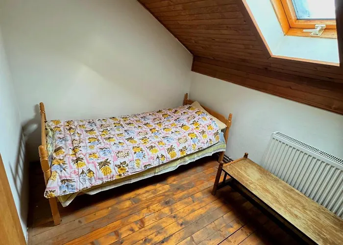 Tara Isidora 바이나 바슈타