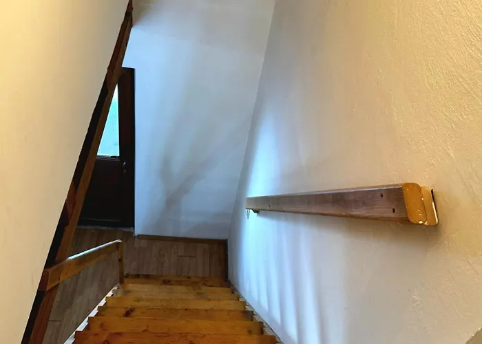 Tara Isidora * 바이나 바슈타