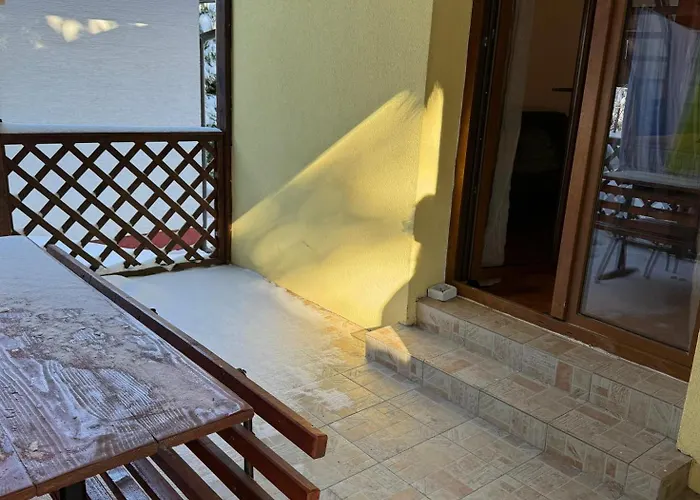 Tara Isidora * 바이나 바슈타